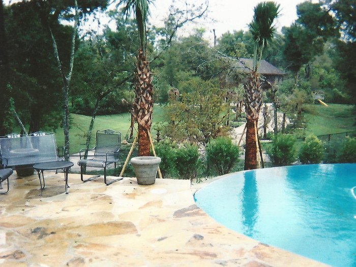 Pool & Spa General